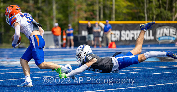 3X6A8206-Edit CopyWeb