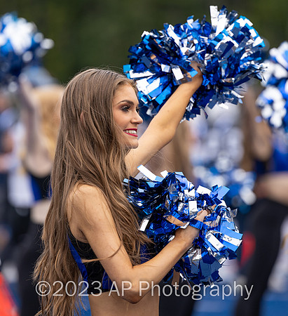 3X6A0913 CopyWeb